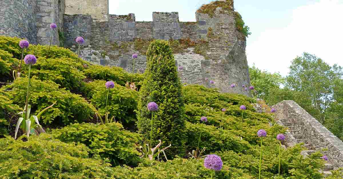 Blarney Castle & Gardens