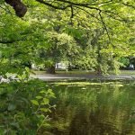 St. Stephen’s Green